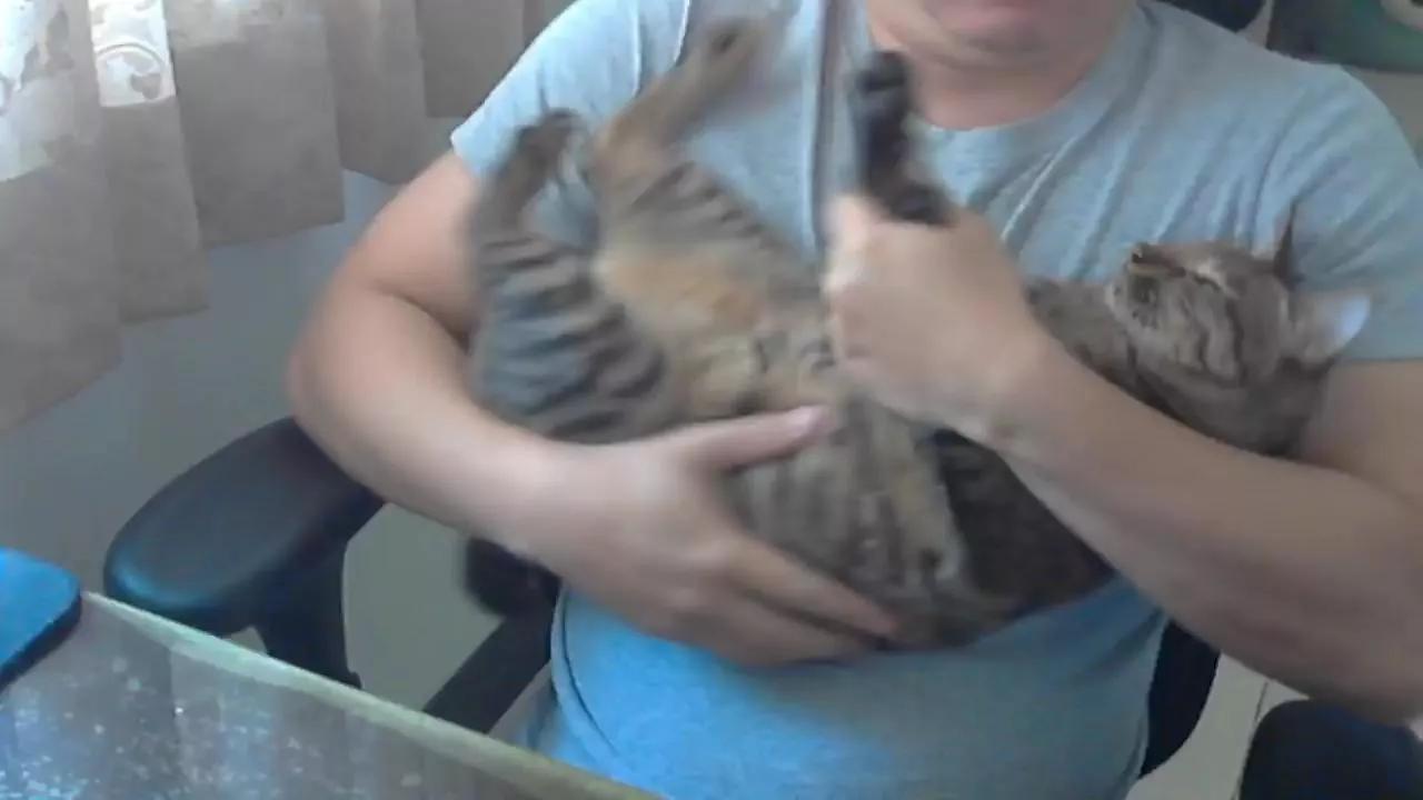 lQAQl on Cam4 